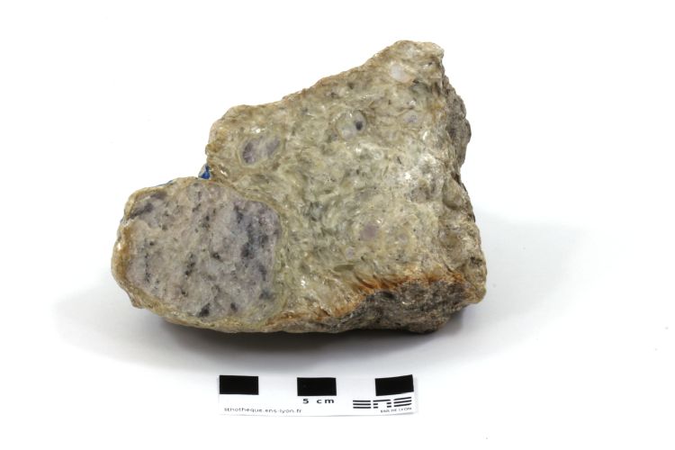Méta-quartzite à coésite, disthène, pyrope et phengite Schiste blanc de  Dora Maira Alpes Province de Coni Martiniana Po 